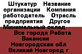 Штукатур › Название организации ­ Компания-работодатель › Отрасль предприятия ­ Другое › Минимальный оклад ­ 8 000 - Все города Работа » Вакансии   . Новгородская обл.,Великий Новгород г.